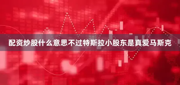 配资炒股什么意思不过特斯拉小股东是真爱马斯克