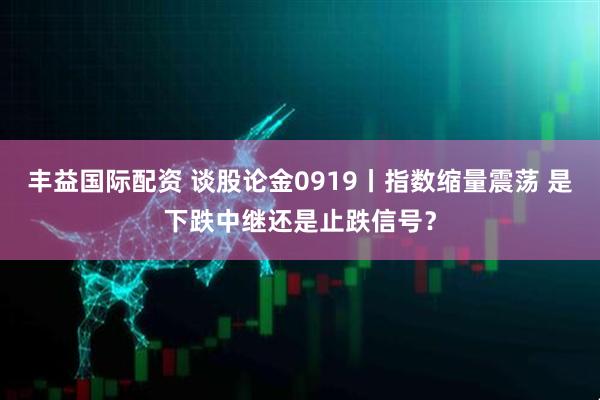 丰益国际配资 谈股论金0919丨指数缩量震荡 是下跌中继还是止跌信号？