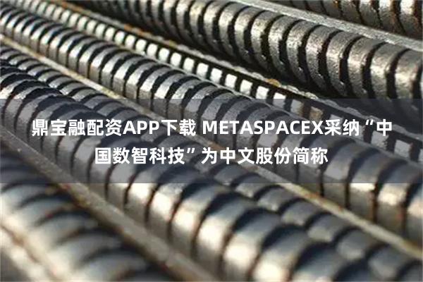 鼎宝融配资APP下载 METASPACEX采纳“中国数智科技”为中文股份简称