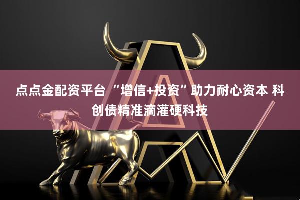 点点金配资平台 “增信+投资”助力耐心资本 科创债精准滴灌硬科技