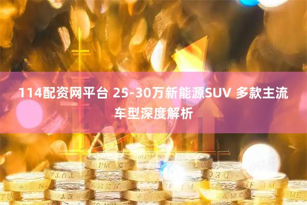114配资网平台 25-30万新能源SUV 多款主流车型深度解析